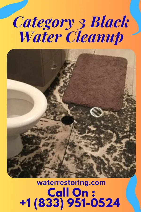 Category 3 Black Water Cleanup in Makanda, IL