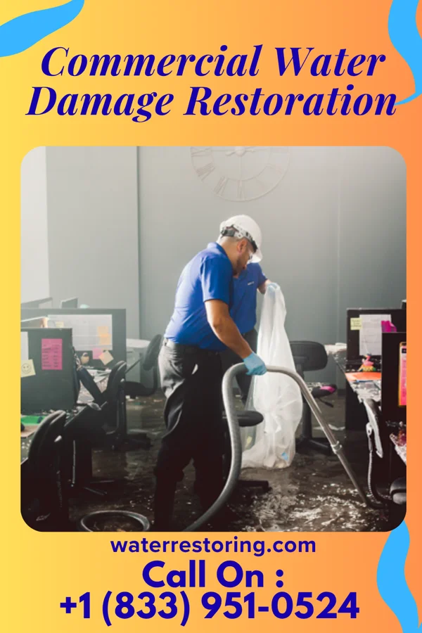 Commercial Water Damage Restoration in Makanda, IL